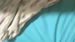 狂操00后卫校巨乳小护士